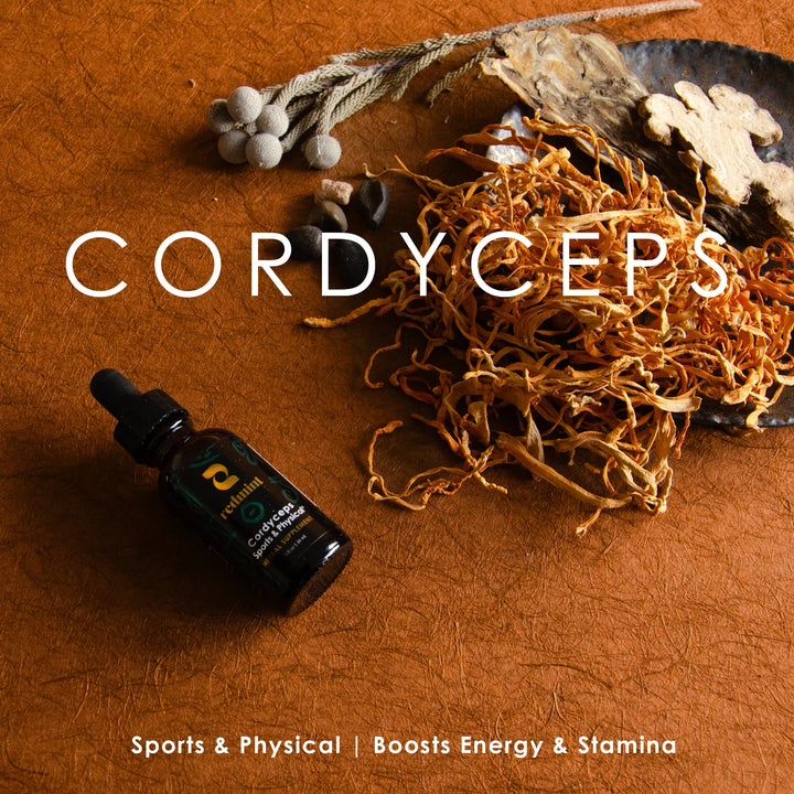 Cordyceps Herbal Tincture - Sports & Physical