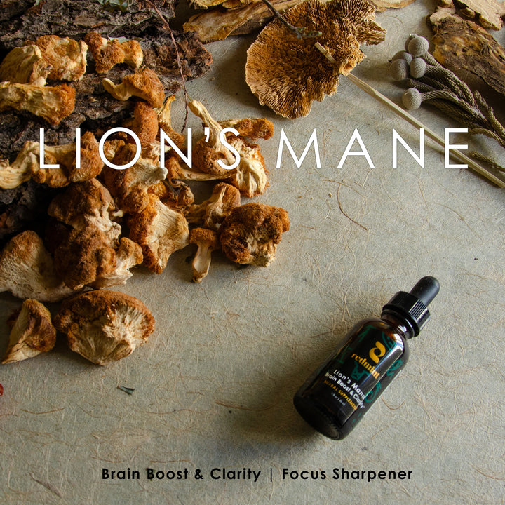 Lion's Mane Herbal Tincture - Brain Boost & Clarity