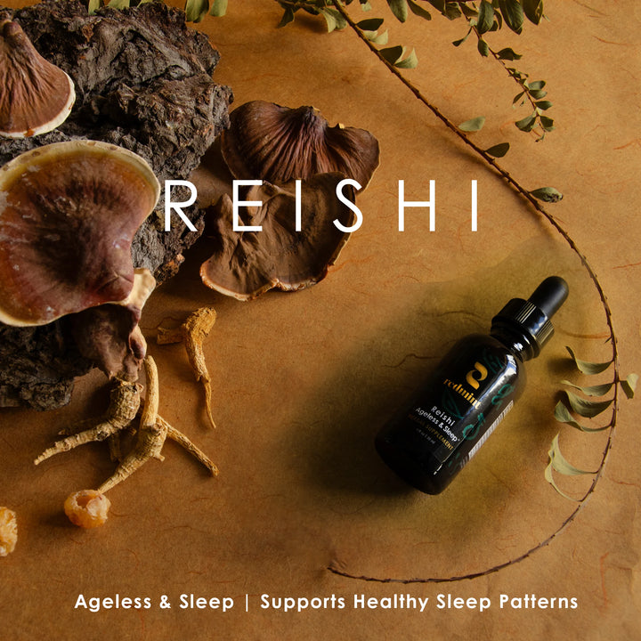 Reishi Herbal Tincture - Ageless & Sleep