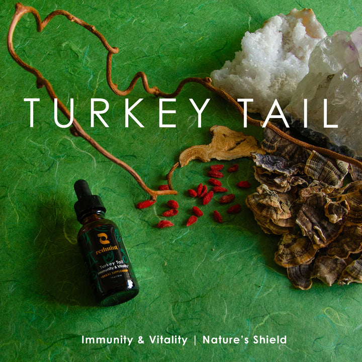 Turkey Tail Herbal Tincture - Immunity and Vitality