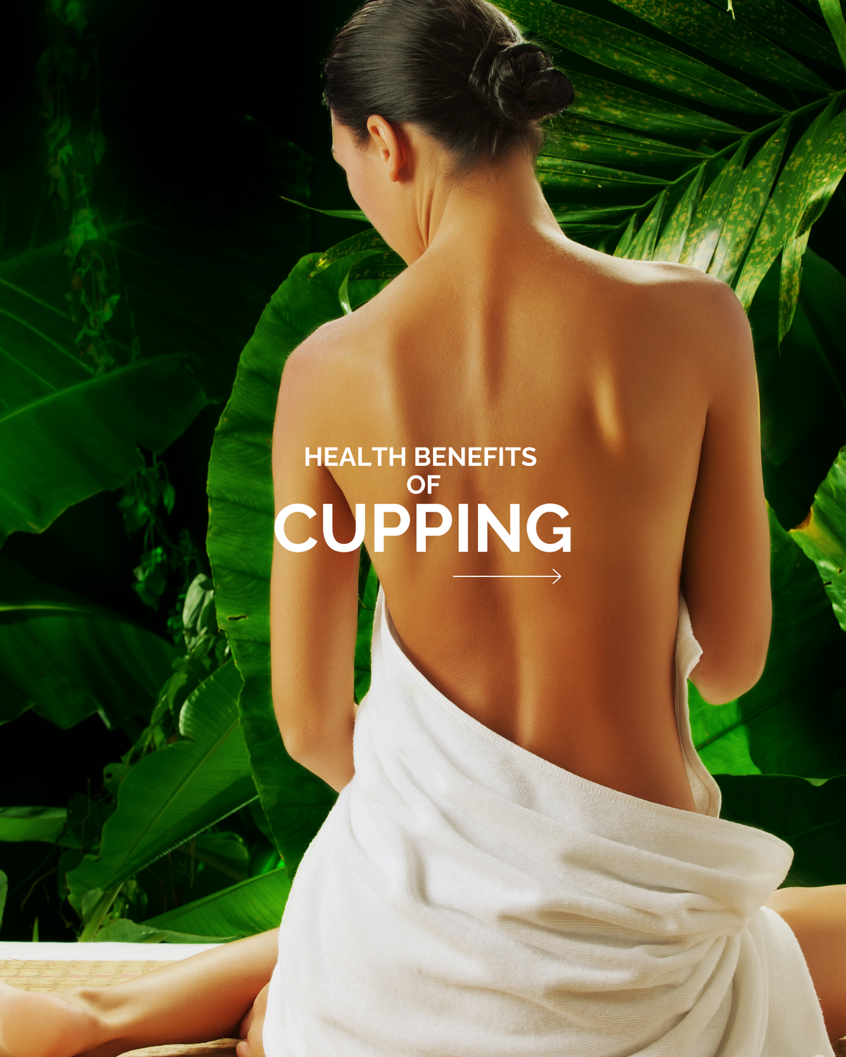 Cupping Therapy: Precision Healing Rooted in Traditional Chinese Medicine